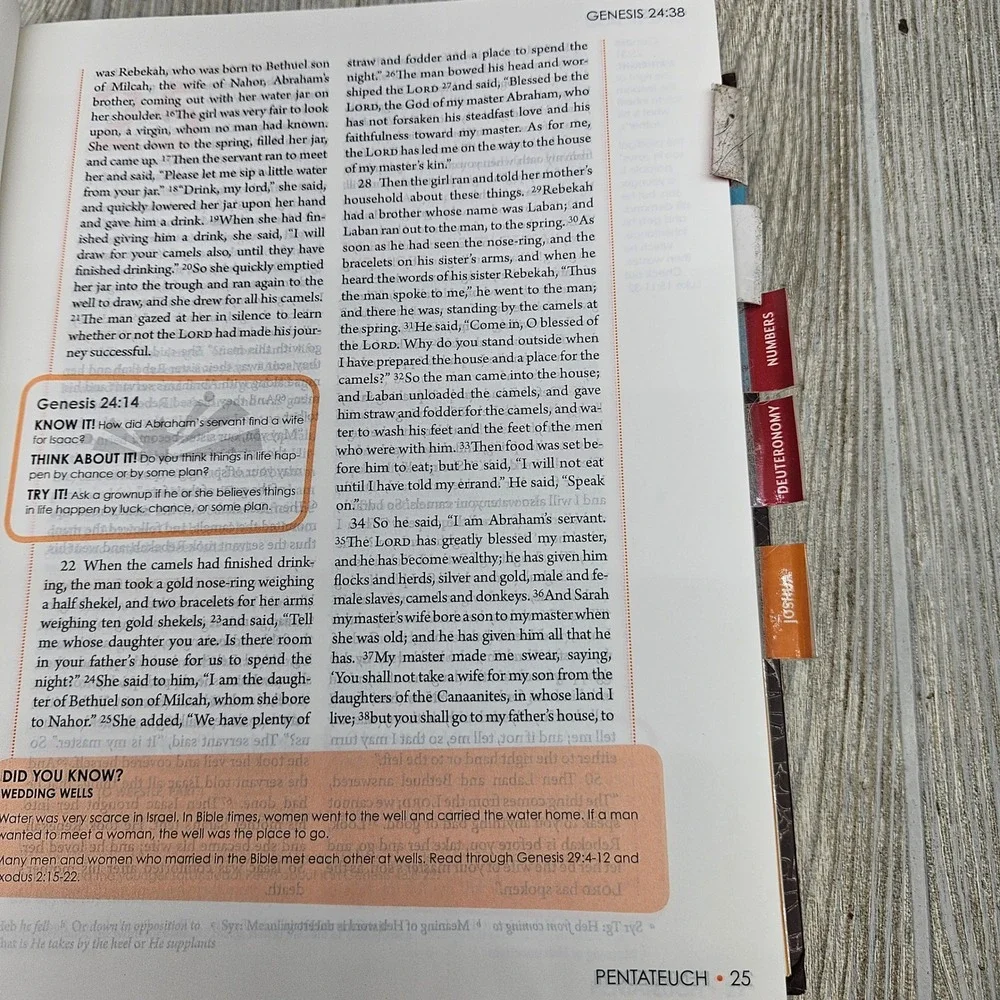 Sparkhouse spark bible